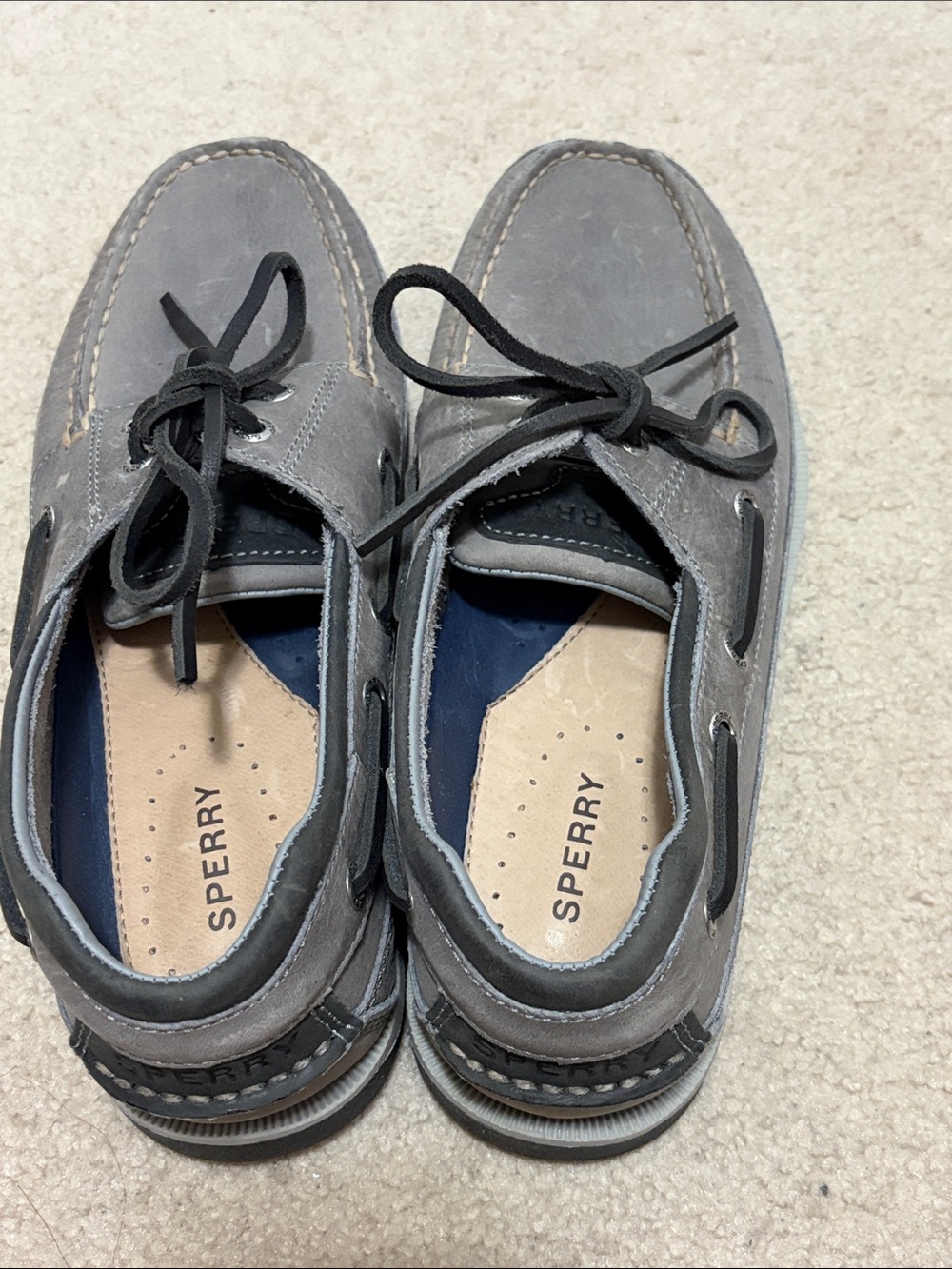 Sperry Sneaker
